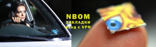 спиды Бородино