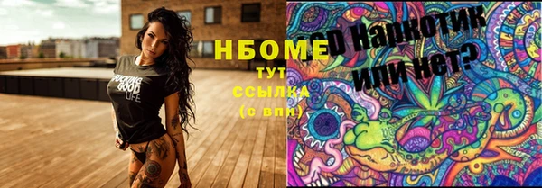 спиды Бородино
