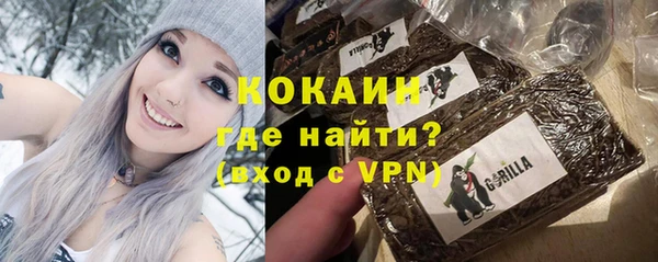 спиды Бородино