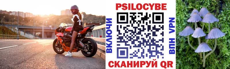 Галлюциногенные грибы мухоморы  закладки  Гурьевск 